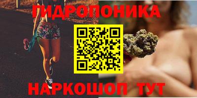 дмт Пенза