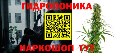 apvp Нягань