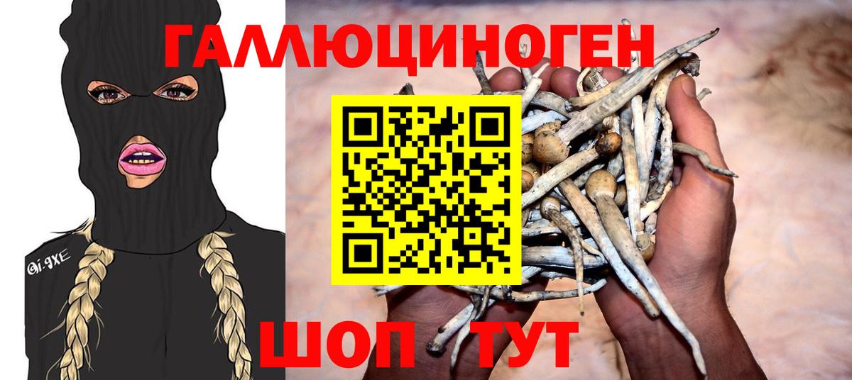 Галлюциногенные грибы мухоморы  наркота  Семилуки  Вход с VPN 