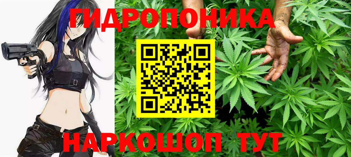 Бошки марихуана VHQ  Вход с VPN  Каннабис OG Kush  Семилуки  Канабис Ganja  Бошки Шишки THC 21% 